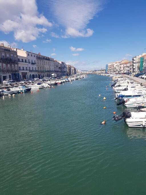 Nautilus Joli T3 Appartement Terrasse Climatisation Sète Dış mekan fotoğraf